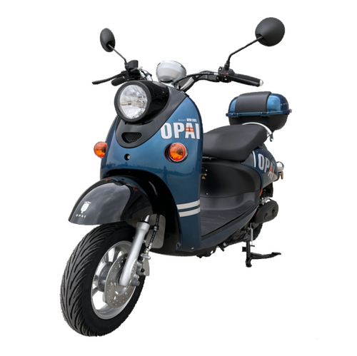 800w 10inch 60V Electric Motorbike/Scooter, Opai TDR363Z_A GW-02
