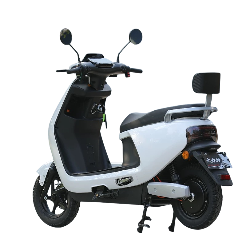 800W Electric Scooter/ Bike – 60V 20Ah Lead-Acid, 50km Range, KN1500-N8