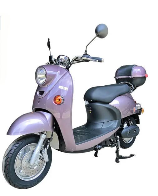800w 10inch 60V Electric Motorbike/Scooter, Opai TDR363Z_A GW-02