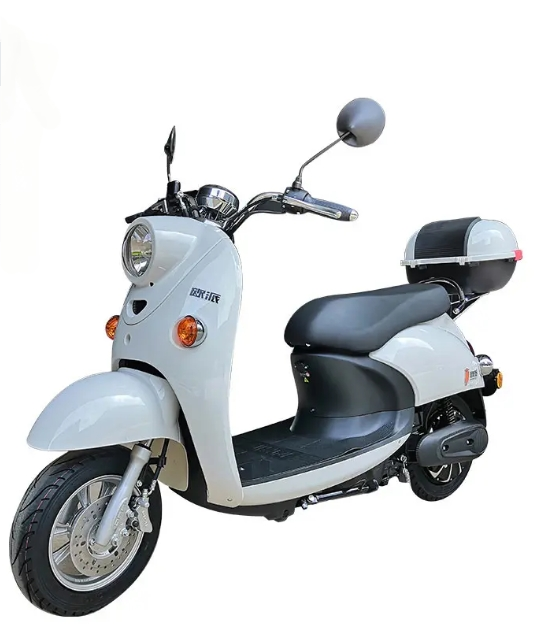 800w 10inch 60V Electric Motorbike/Scooter, Opai TDR363Z_A GW-02